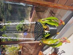 pendurar um vaso de planta bonsai jardim travar suspensão pote 3d print model - Mito3D