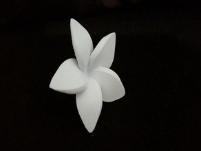 flutuante frangipani, flor banheira frangipani 3d print model - Mito3D