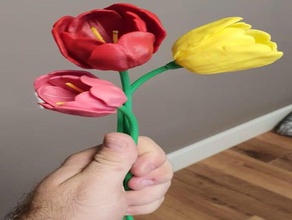 tulip flor de la tulipán tulipan 3d print model - Mito3D