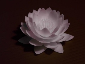 nenuphar çiçek fleur lotus çiçeği 3d print model - Mito3D