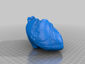 human heart makerbotdigitizer scan 3d print model - Mito3D