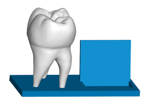 zahn-Visitenkarte-Halter business-card-Inhaber dental Zahnarzt office zahn 3d print model - Mito3D