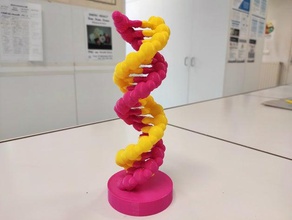mol cule d'adn - dna molekülü biyoloji hücre biyolojisi modeli moleküler 3d print model - Mito3D