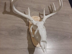 deer skull printable large 3dprintable 3d animal printer antler beutiful christmas decoration head koekmaker98 lifesize model parts reindeer western 3d print model - Mito3D