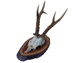deer antlers design home 3d print model - Mito3D