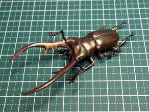 cyclommatus metallifer böcek lucanidae geyik böceği 3d print model - Mito3D