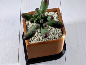 goccia il vaso cactus casa fioriera fioriere piante grasse succulento piatto 3d print model - Mito3D