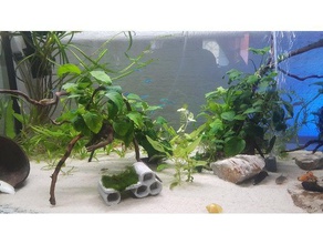 abri à la maison de grotte poisson crevettes cpo et moss culture l'aquarium réservoir poissons mousse un les 3d print model - Mito3D