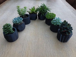 succulent plant pots pot planter succulents 3d print model - Mito3D