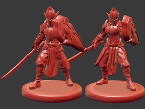 elf soldier miniatures 3dprintable dungeons dragons fantasy fighter miniature paladin tabletop 3d print model - Mito3D