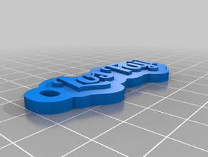 minha personalizado de várias linhas tag porta-chaves 3d print model - Mito3D