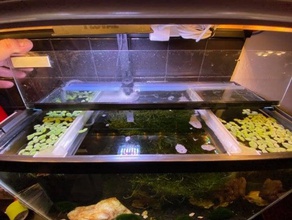 10 gallons réservoir d'usine flottante de la partition l'aquarium 3d print model - Mito3D