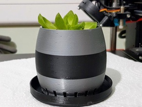 pequeno plantador de suculentas vaso flores plantadeira plantas um planta pote espiral suculenta 3d print model - Mito3D