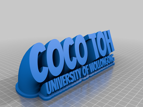 coco toh customized 3d print model - Mito3D