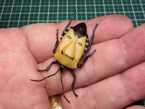 l'homme face shield bug catacanthus incarnatus les insectes 3d print model - Mito3D