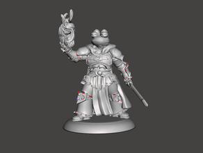 pepe sorcerer 40k 4chan frog knight magic meme mini miniature paladin swordsman toad warhammer warlock warrior wizard 3d print model - Mito3D