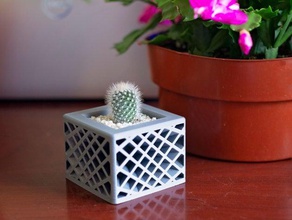 star spectrum planter cactus indoor garden planters pot succulent succulents 3d print model - Mito3D