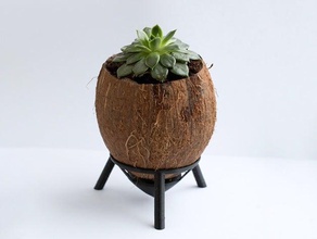 stand coconut flower pot 3d print model - Mito3D