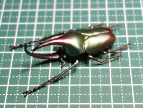 theodosia viridiaurata Insekt 3d print model - Mito3D