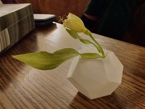 dodecahedron vase cup flower pentagon test 3d print model - Mito3D