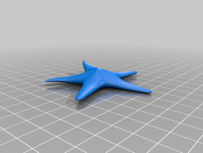 starfish seestern 3d print model - Mito3D