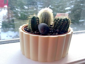 vaso di fiore cactus piatto cup fiori piantare in pot robot 3d print model - Mito3D