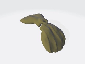 concha de mar chaveiro a arte pulseira charme molusco moda medalhão colar oceano do seashell shell 3d print model - Mito3D
