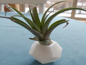 la plante de l'air vases décor facile élégant l'usine simple vase 3d print model - Mito3D