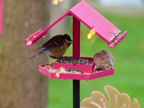 mangeoire à oiseaux d'oiseaux le chargeur jardin les graines 3d print model - Mito3D