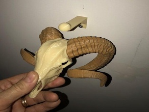 ram kafatası duvara monte edin hayvan hayvanlar kafatasları 3d print model - Mito3D