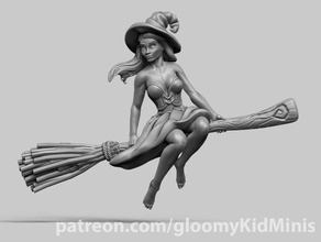 witch broom caster dnd girl rpg tabletop 3d print model - Mito3D