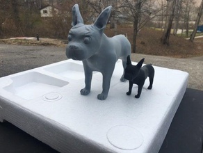 boston terrier 3d print model - Mito3D