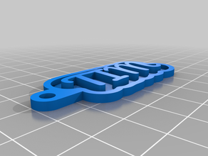 la clé de chaîne tim personnalisé 3d print model - Mito3D