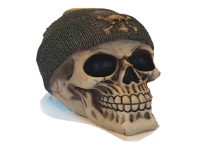 skull scan skulls 3d print model - Mito3D