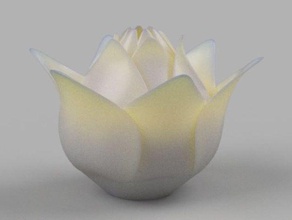 lotus 20 flor planta 3d print model - Mito3D