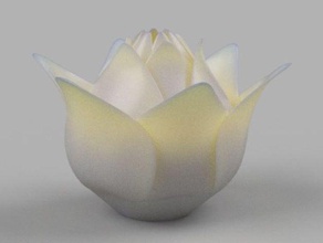 lotus 20 de la fleur l'usine 3d print model - Mito3D