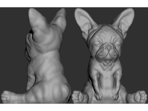 bulldog supportless animal cute 3d print model - Mito3D