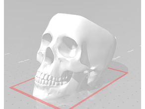 cranio ciotola 3d print model - Mito3D
