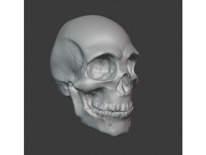 skull human skull skull 3d print model - Mito3D