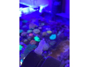 skimmer pompa - bubble blaster 5000 venturi barb değiştirme resif tuzlu su tankı 3d print model - Mito3D