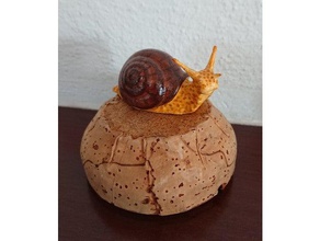 snail horns shell 3d print model - Mito3D