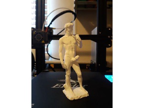 david gifted michelangelo nsfw 3d print model - Mito3D