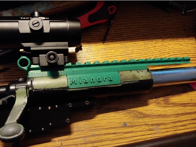 vsr-10 bar-10 rail couvert de poussière w niveau airsoft pièces picatinny vsr10 3D print model - Mito3D