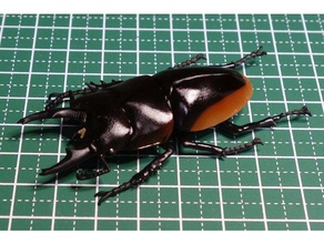 prosopocoilus hasterti böcek lucanidae geyik böceği 3d print model - Mito3D