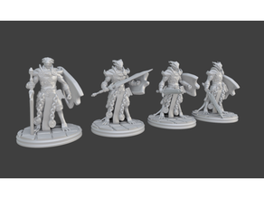 dragonborn paladin Miniatur besser unterstützt zusätzliche Posen 3dprintable dungeons dragons der tabletop 3d print model - Mito3D