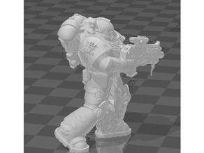 wolfi marine der Miniatur Raum space warhammer 40k wolf 3d print model - Mito3D