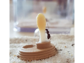 mieren ant liquid feeder ants 3d print model - Mito3D