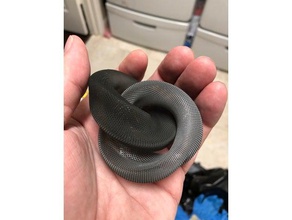 cojoined distorted torus 3d print model - Mito3D
