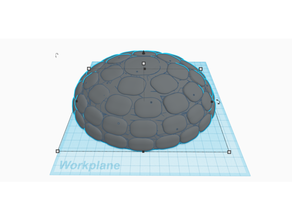 tortoise shell 3d print model - Mito3D
