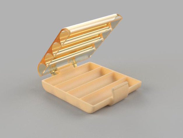 menteşeli Pil Kutusu aa aaa c pil accu akümülatör kutusu durumda rezerv depolama Seyahat 3D print model - Mito3D
